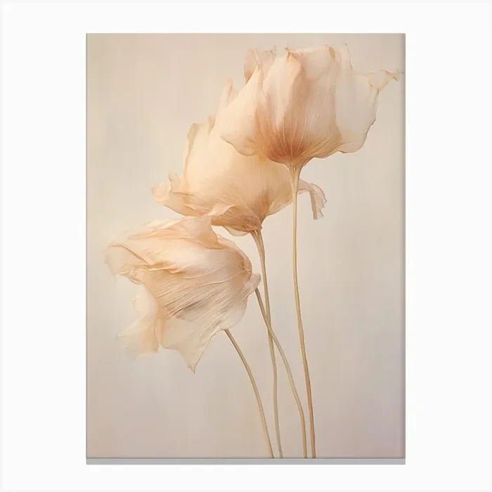 Boho Dried Flowers Tulip 1 Canvas Print by Botanic Studio