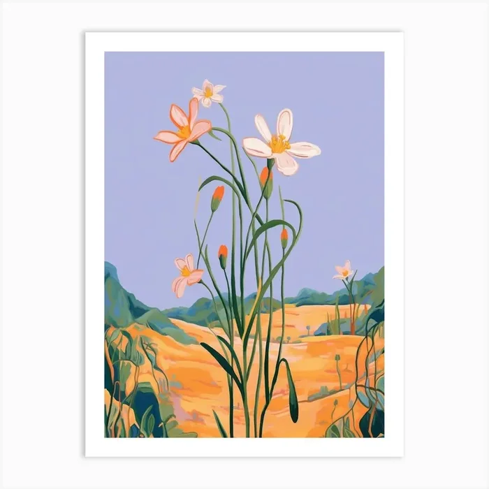 Boho Wildflower Painting Blue Eyed Grass 1 Art Print by Botanic Studio