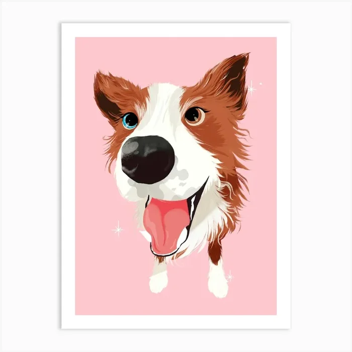 Border Collie | Sheep Dog Art PrintKS by Kitty Strand
