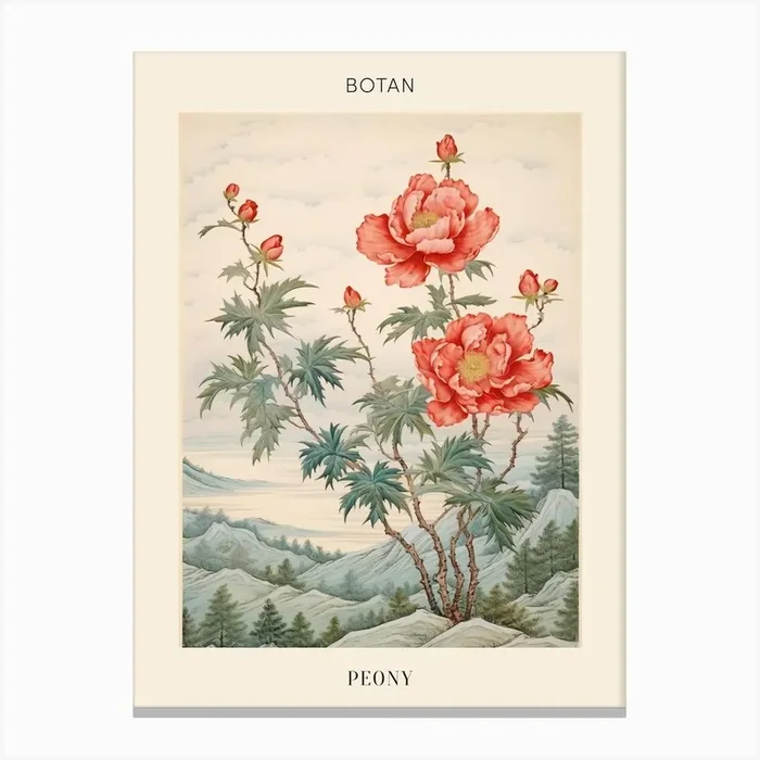 Botan Peony 1 Japanese Botanical Illustration Poster Canvas Print by Botanic Studio