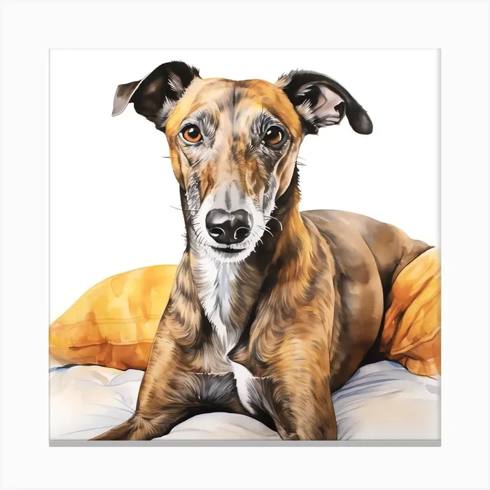 Brindle Greyhound relaxing Canvas PrintS by SMLThreads