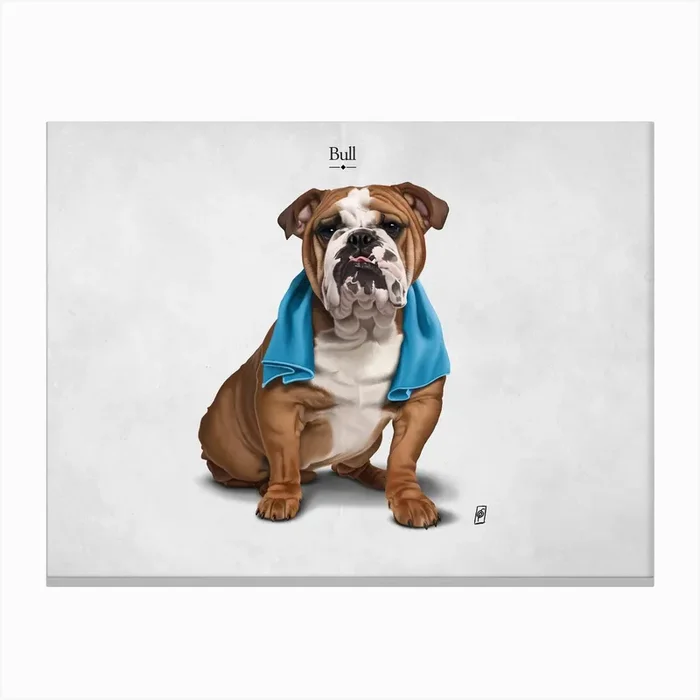 Bull Canvas Print by Rob Snow