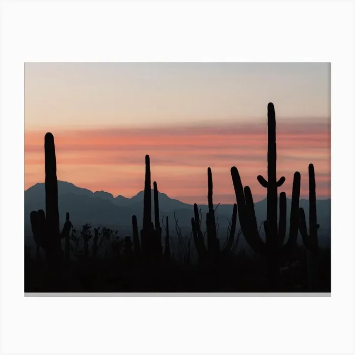 Cactus Sunset Silhouette Canvas Print by Boheme At Home