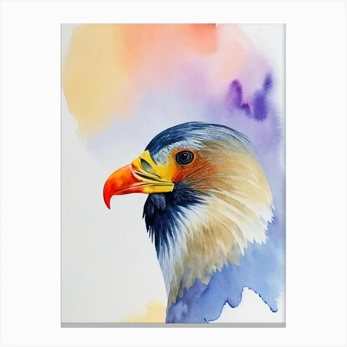 California Condor Watercolour Bird Canvas Print by Featherline