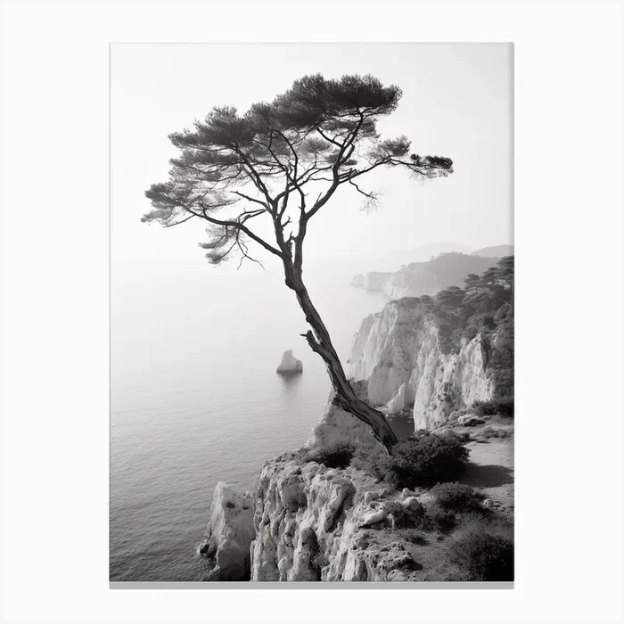 Capri, Italy, Black And White Photography 2 Canvas Print by Monochrome Vistas