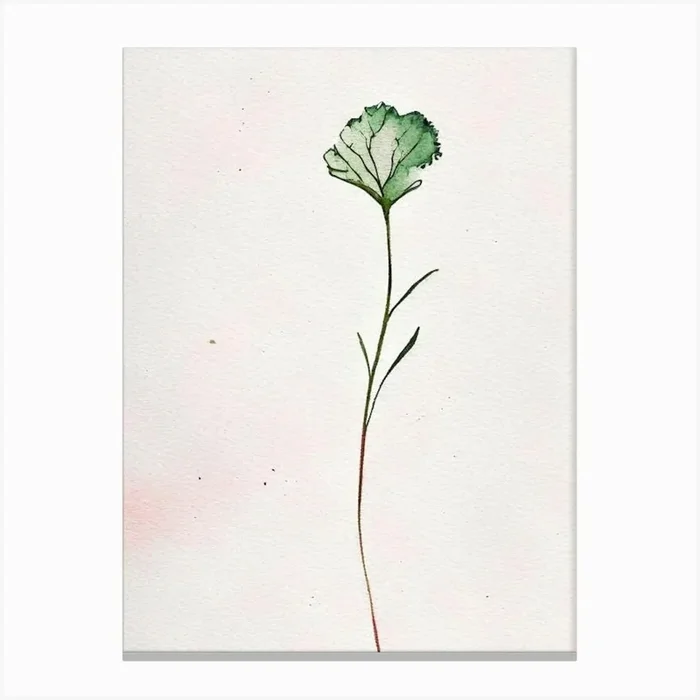 Carnation Leaf Minimalist Watercolour Canvas PrintL& by Leaf & Stem Studio