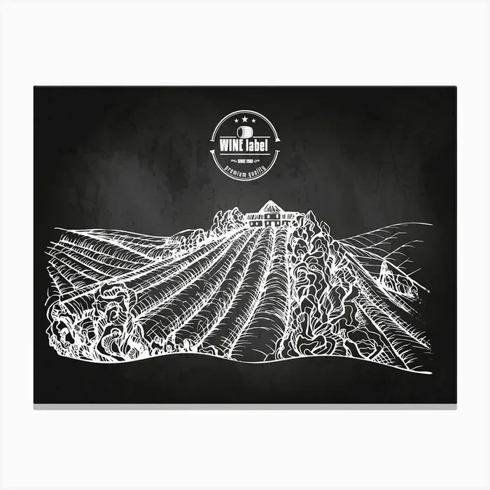 Chalkboard Drawing Of A Vineyard — wine poster, kitchen poster, wine print Canvas Print by Synthwave1950