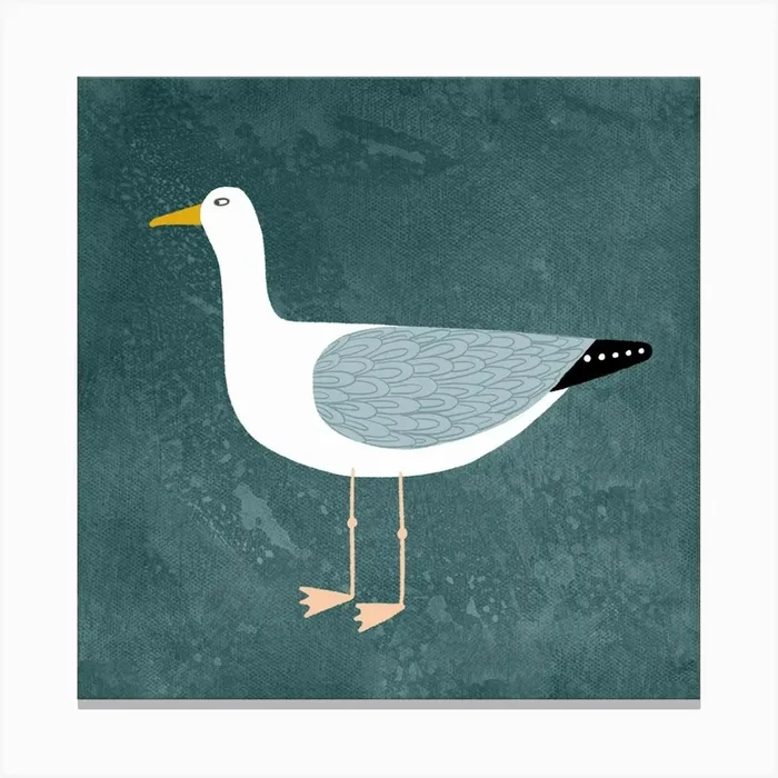 Cheeky Seagull on Teal Green Canvas PrintNS by Nic Squirrell