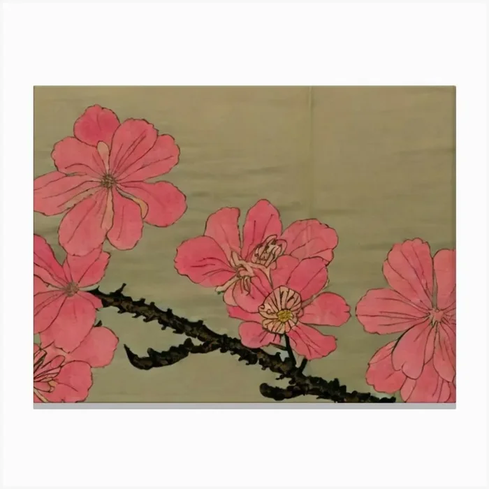 Cherry Blossoms 1 Canvas Print by FATSLIM