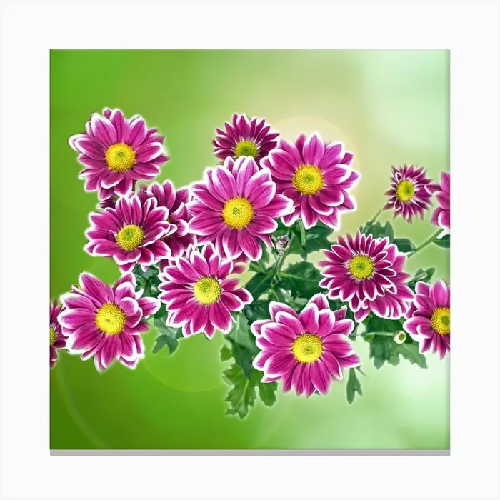 Chrysanthemums Canvas Print by Super_Art