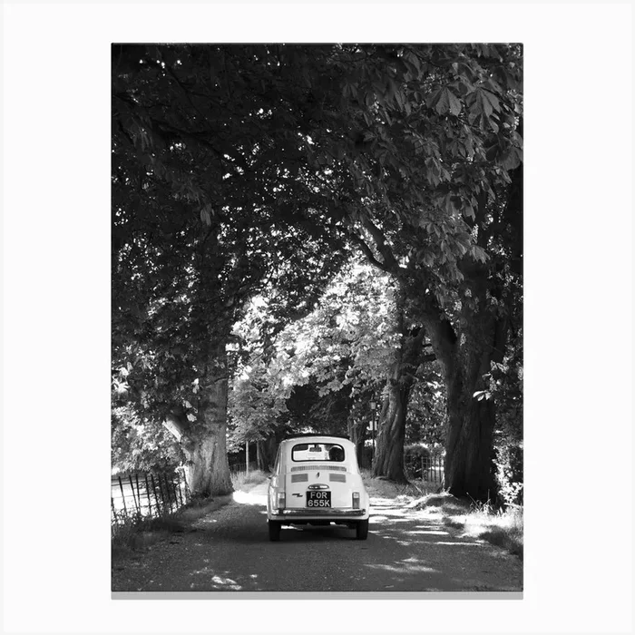 Cinquecento Down An Avenue Of Trees Black & White Canvas Print by Flo Smith