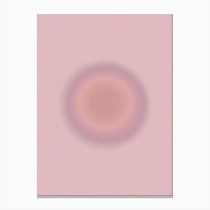 Circle On A Pink Background Canvas Print by Henri Matisse Style Prints