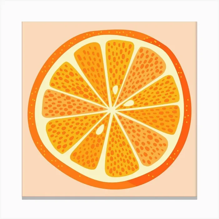 Citrus Orange Fruit Slice Canvas PrintNS by Nic Squirrell
