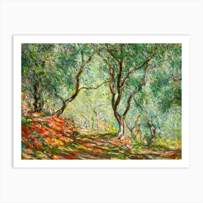 Claude Monet, Olive Tree Wood in the Moreno Garden, 1884 HD Original Reproduction – Immaculate Vibrant Art PrintFS by Free Spirits & Hippies