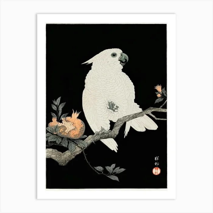 Cockatoo With Pomegranate (1927), Ohara Koson Art Print by Fy! Classic Art Prints and Posters