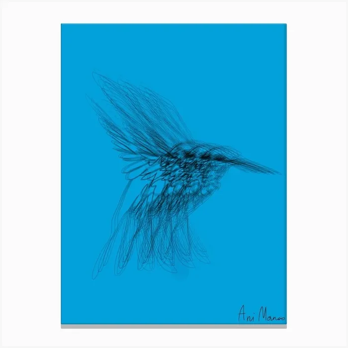 Colibri005 Canvas Print by AniManoo