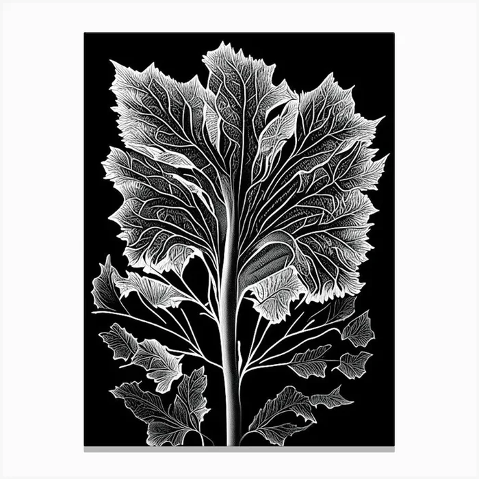 Coltsfoot Leaf Linocut Canvas PrintL& by Leaf & Stem Studio