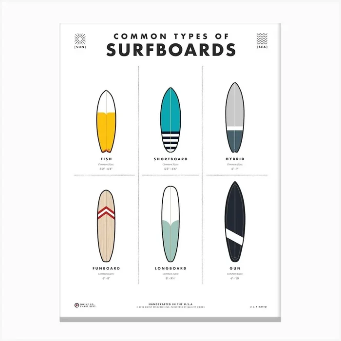 Common Types Of Surfboards Canvas Print by Qwintco