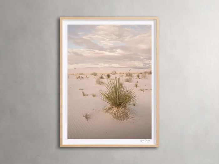 Desert Serenity Framed Print