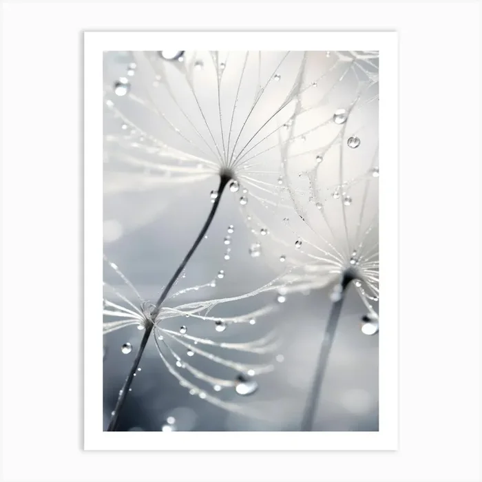 Drops On Dandelion No 2 Art Print by Treechild