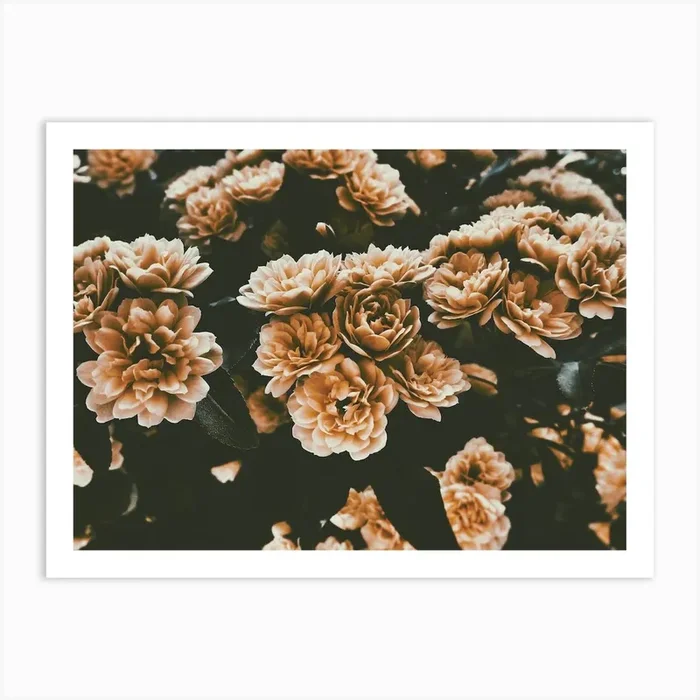 Dusty Rose Flowers Art Print by Boheme At Home