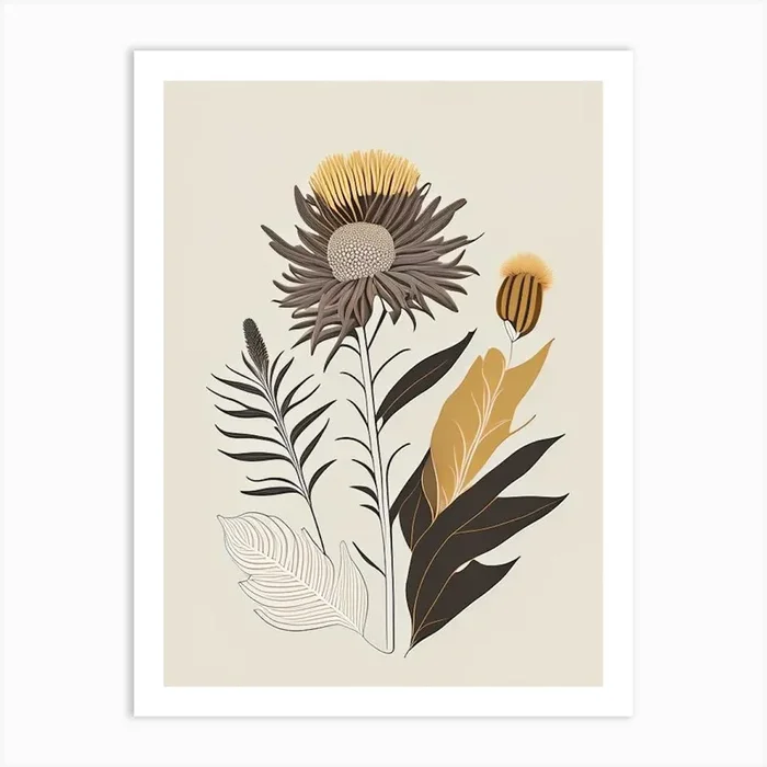 Elecampane Spices And Herbs Retro Minimal 4 Art PrintHH by Herbaceous Hues