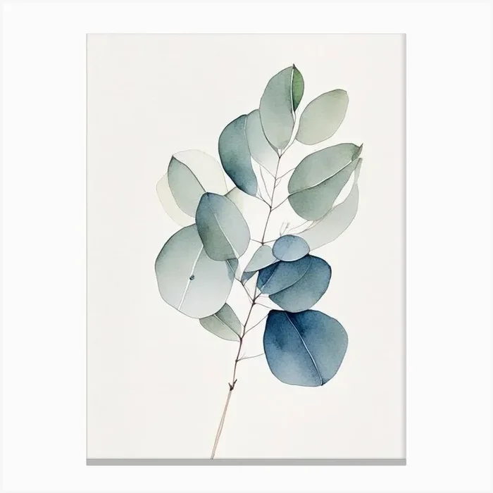 Eucalyptus Herb Minimalist Watercolour 1 Canvas PrintHH by Herbaceous Hues