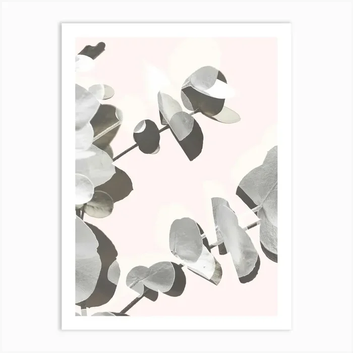 Eucalyptus Leaves 3_2061449 Art Print by 1x