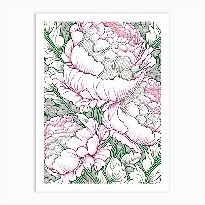Festiva Maxima Peonies Pink 1 Drawing Art Print by Petal Peonies