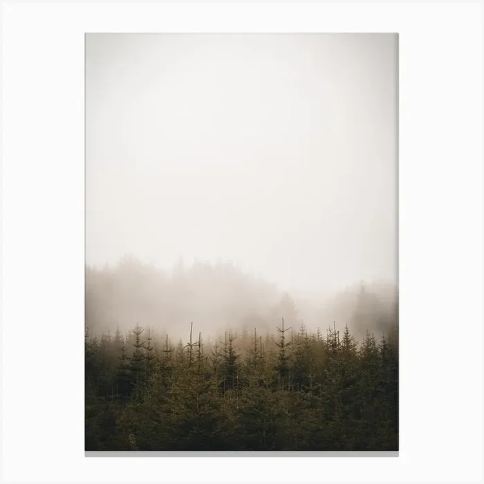 Foggy Forest Canvas Print by Florian Schleinig