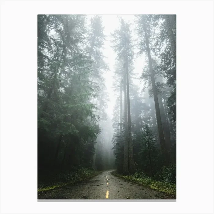 Forest Dreams- Redwood Park Road Canvas PrintN by NatureMagick