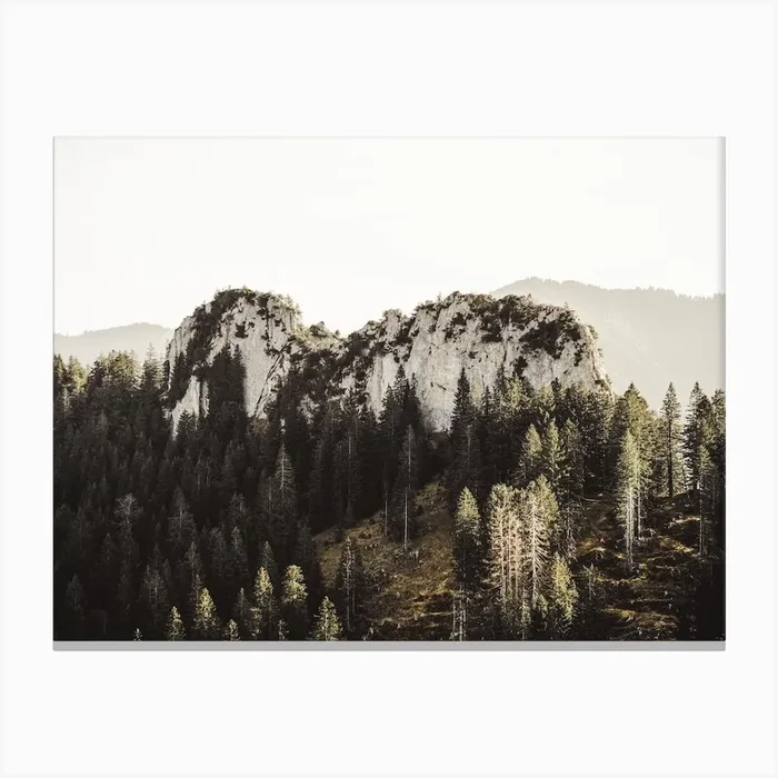 Forest Surrounding Hill Canvas Print by Boheme At Home