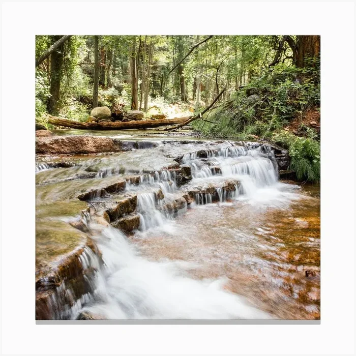 Forest Waterfall Square Canvas Print by Erica Fuchs Photography