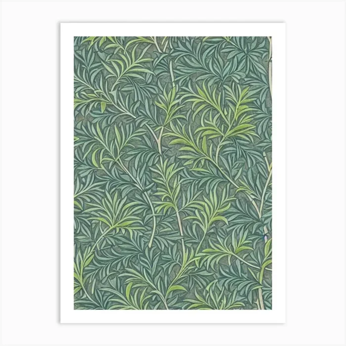Fraser Fir 2 tree Vintage Botanical Art PrintAI by Arboreal Impressions