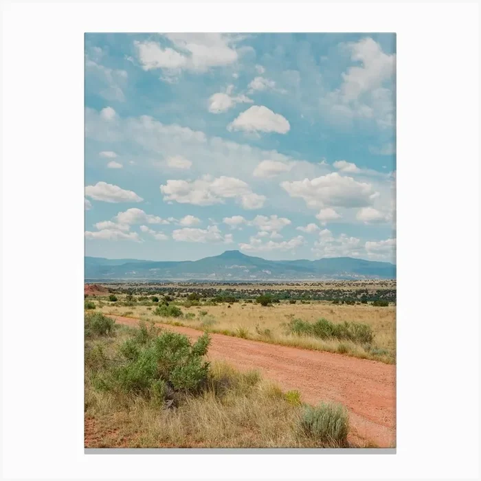 Ghost Ranch II on Film Canvas Print by Bethany Young
