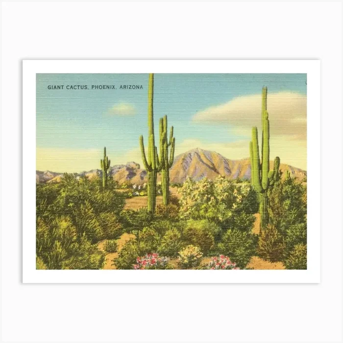 Giant cactus, Phoenix, Arizona Art Print Art Print by Henri Matisse Style Prints