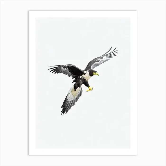 Golden Eagle B&W Pencil Drawing 3 Bird Art Print by Featherline