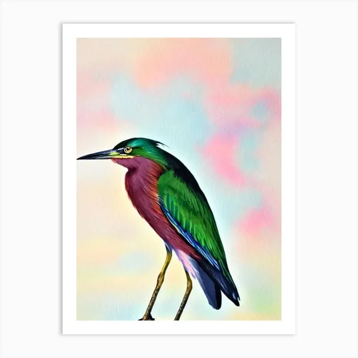 Green Heron Watercolour Bird Art Print by Featherline