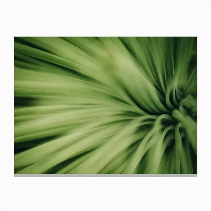 Green Ii Canvas Print by Florian Schleinig