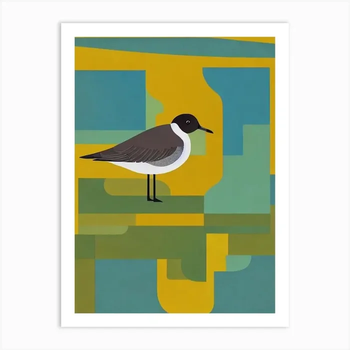 Grey Plover Midcentury Illustration Bird Art Print by Featherline