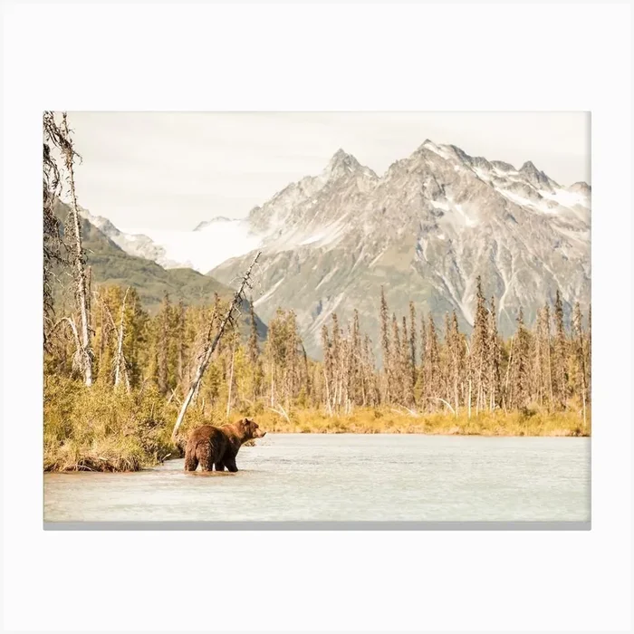 Grizzly Bear Fishing Canvas Print by Boheme At Home