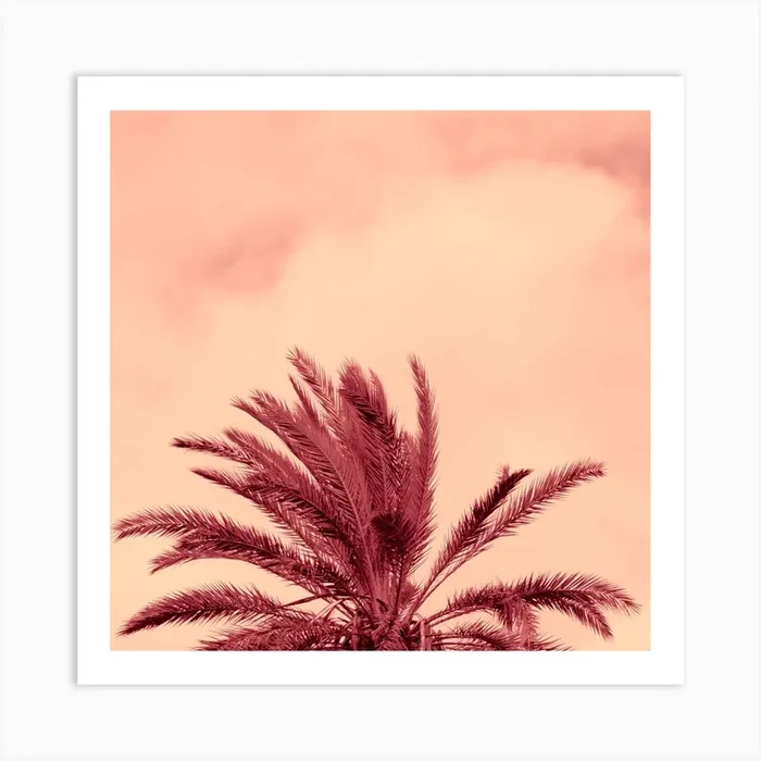 Half Palm Tree Nature Square Photo Beige Coral Terracotta Vintage Retro Art Print by Anton Maliar