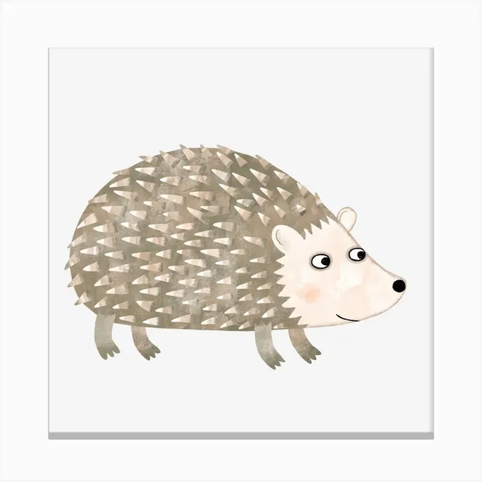 Hedgehog Canvas PrintNS by Nic Squirrell