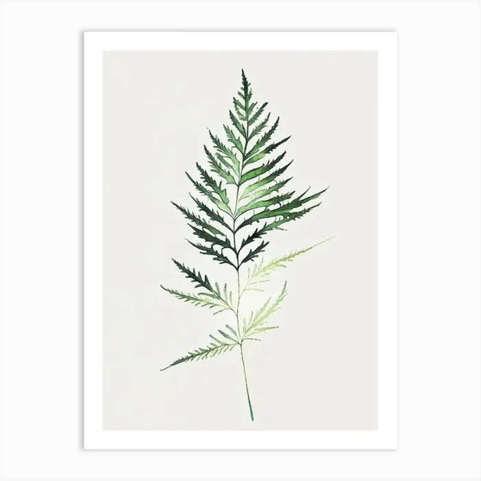 Hemlock Needle Leaf Minimalist Watercolour 2 Art PrintL& by Leaf & Stem Studio