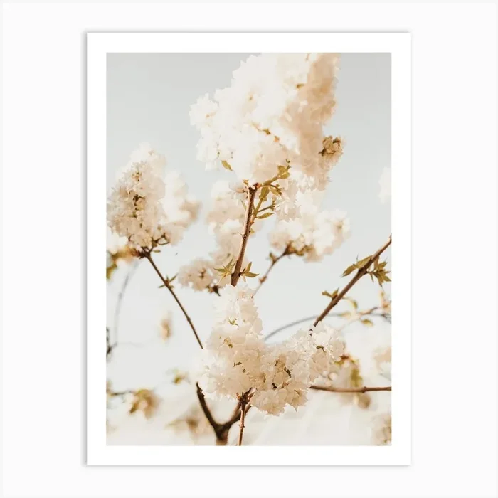 Hydrangea Bush Art Print by Boheme At Home