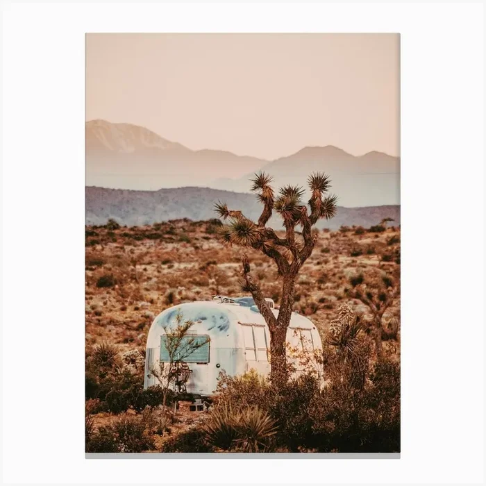 Joshua Tree Camper Canvas PrintGS by Golden Saguaro
