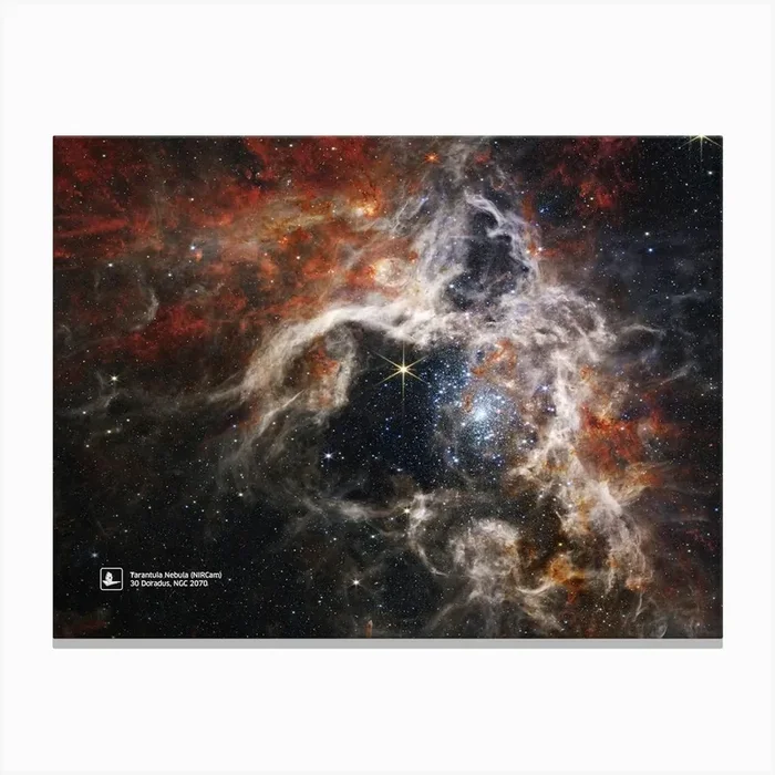 JWST Tarantula Nebula, 30 Doradus, NGC 2070 – Emission Nebula in the Large Magellanic Cloud (James Webb/JWST) — space poster, science poster, space photo, space art, jwst picture Canvas Print by Synthwave1950