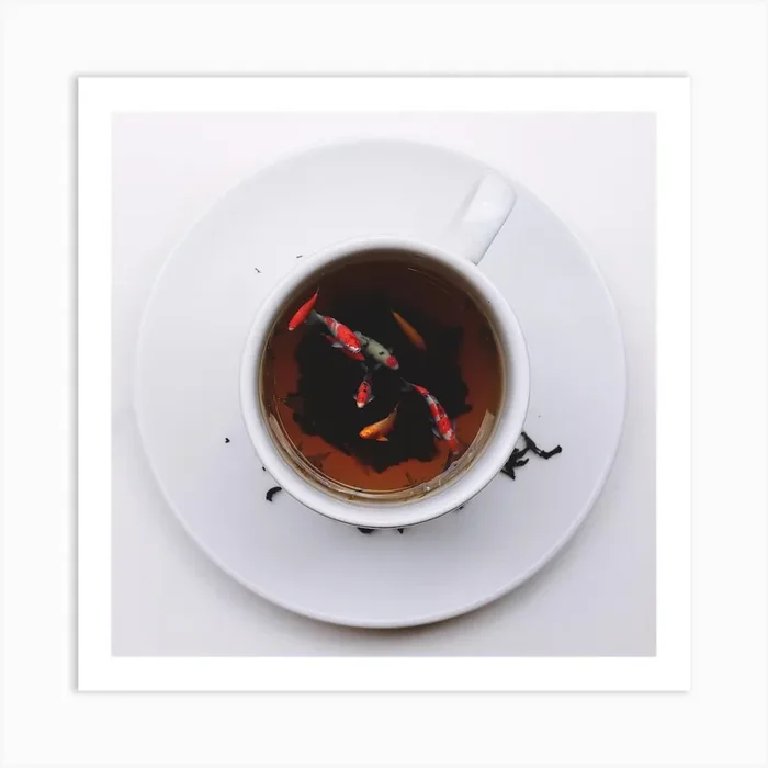 Koi Tea, Fish Art Print by Locky