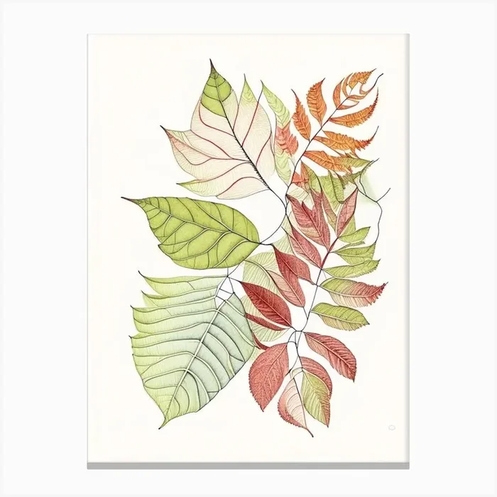 Leaf Pattern 1 Canvas PrintL& by Leaf & Stem Studio