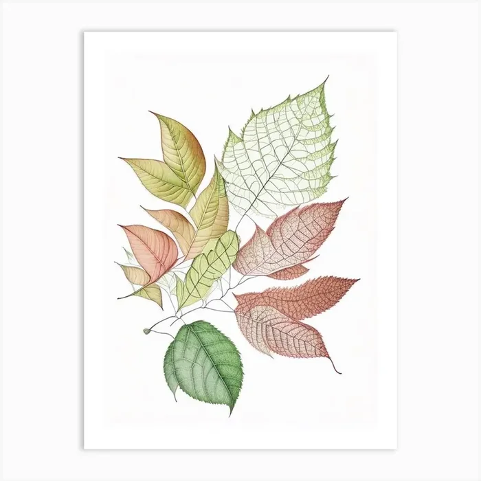Leaf Pattern 5 Art PrintL& by Leaf & Stem Studio